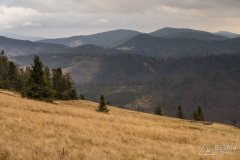 Hala na Małej Raczy