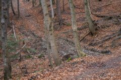 SPA błotne na czerwonym szlaku z Wielkiej Raczy na Przegibek