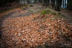 Na czerwonym szlaku z Wielkiej Raczy na Przegibek