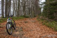 Na czerwonym szlaku z Wielkiej Raczy na Przegibek