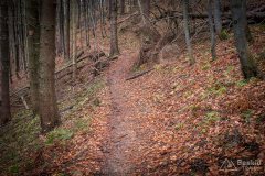 Na czerwonym szlaku z Przegibka na Rycerzową