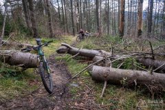 Na czerwonym szlaku z Przegibka na Rycerzową