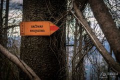 Omijamy szczyt Rycerzowej jedynie sensownym wariantem - narciarskim na Przełęcz Halną