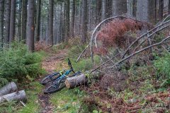 Omijamy szczyt Rycerzowej jedynie sensownym wariantem - narciarskim na Przełęcz Halną