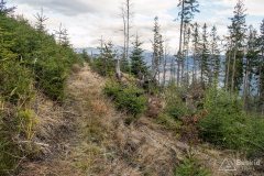 Singiel na Przełęcz Kotarz, atrakcyjnie omijający Wiertałówkę (secret spot ;) )