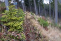 Singiel na Przełęcz Kotarz, atrakcyjnie omijający Wiertałówkę (secret spot ;) )