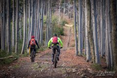 Podjazd zielonym szlakiem z Przełęczy Kotarz na Muńcuł