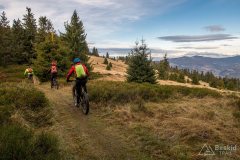 Szczytowe polanki Muńcoła