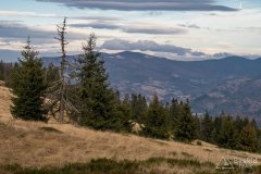 Szczytowe polanki Muńcoła