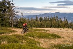 Zjazd z Muńcoła zielonym szlakiem do Ujsół