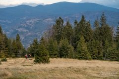 Zjazd z Muńcoła zielonym szlakiem do Ujsół