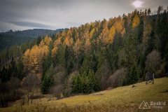 Zjazd z Muńcoła zielonym szlakiem do Ujsół