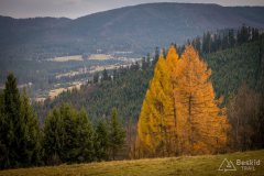 Zjazd z Muńcoła zielonym szlakiem do Ujsół