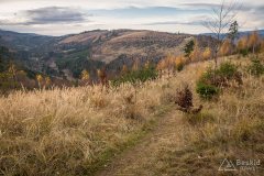 Zjazd z Muńcoła zielonym szlakiem do Ujsół
