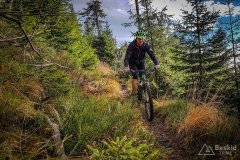 Niebieski szlak z Romanki na Słowiankę (fot. El)