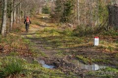 Niebieski szlak graniczny na Grubą Buczynę