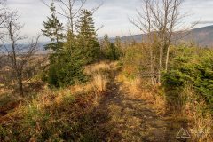 Niebieski szlak graniczny (z Grubej Buczyny)