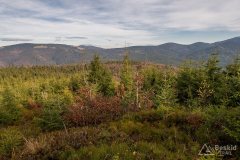 Szersze spojrzenie: Hala Lipowska, Rysianka, (Romanka),  Trzy Kopce, Sypurzeń (Brts), Munczolik