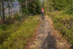 Na niebieskim szlaku granicznym Krawców Wierch - Trzy Kopce