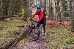 Na niebieskim szlaku granicznym Krawców Wierch - Trzy Kopce (okolice przełęczy Bory Orawskie)