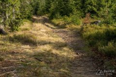 Na niebieskim szlaku granicznym Krawców Wierch - Trzy Kopce