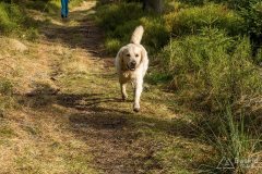 Na niebieskim szlaku granicznym Krawców Wierch - Trzy Kopce