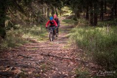 Na niebieskim szlaku granicznym Krawców Wierch - Trzy Kopce