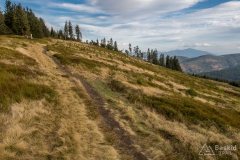 Na żółtym szlaku z Rysianki na Romankę
