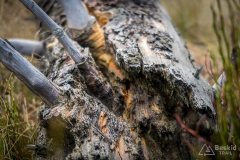 Na żółtym szlaku z Rysianki na Romankę