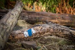 Kolor szlaku, którym będziemy zjeżdżać na Słowiankę