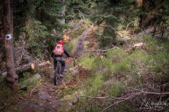 Niebieski szlak z Romanki na Słowiankę