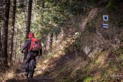 Niebieski szlak z Romanki na Słowiankę