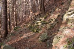 Niebieski szlak z Romanki na Słowiankę