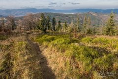 Niebieski szlak z Romanki na Słowiankę - widok na Kotlinę Żywiecką i Beskid Śląski