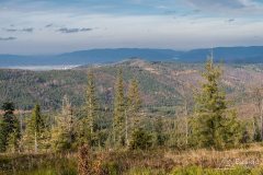 Niebieski szlak z Romanki na Słowiankę - widok na Kotlinę Żywiecką i Beskid Mały