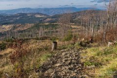 Niebieski szlak z Romanki na Słowiankę - widok na Beskid Śląski