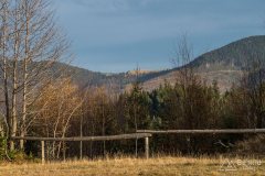 Widok z Hali Boraczej na Przełęcz Pawlusią