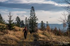 Leśny singiel/trail z Hali Cukiernicy na Zapolankę