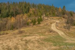 Zapolanka - żółty szlak z Hali Redykalnej do Rajczy