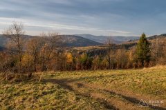 Na grzbiecie z Zapolanki przez Wilczy Groń i Compel