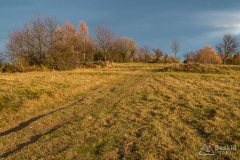 Na grzbiecie z Zapolanki przez Wilczy Groń i Compel