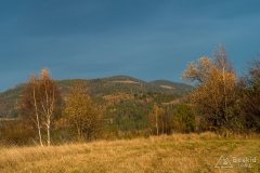 Na grzbiecie z Zapolanki przez Wilczy Groń i Compel