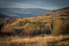 Na grzbiecie z Zapolanki przez Wilczy Groń i Compel