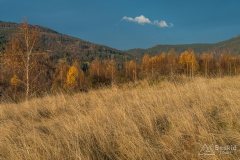 Na grzbiecie z Zapolanki przez Wilczy Groń i Compel
