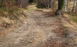 Na zielonym szlaku z Gibasów na Ścieszków Groń