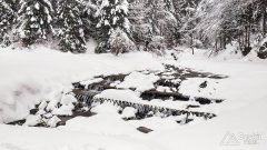 IMG_20191229_091913
