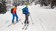 IMG_20191229_091932