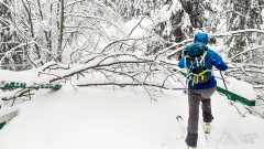 IMG_20191229_094419