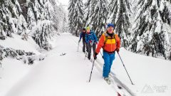 IMG_20191229_094822