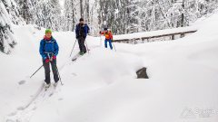 IMG_20191229_100717